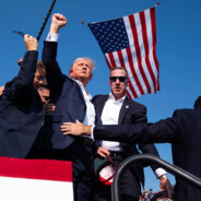 Average Trump Fan