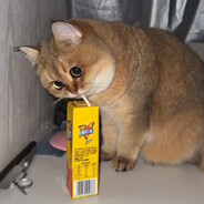 这身衣服不常穿吧