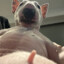DogLover Depending What dish &lt;3