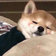 阳光射不到的地方我可