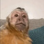 luizinho