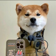 唐完就宋,宋完就元