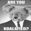 KrazyKoala