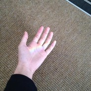 你要的样子我都有你要的姿势我都会