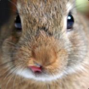 sev - steam id 76561197971076161