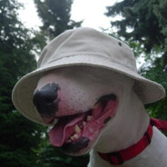 twitch.tv/pidoras - steam id 76561199820938447