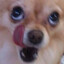 붓때