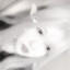 illusoryq