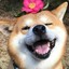 是盼盼阿！