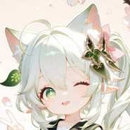 极致聪颖小狸猫