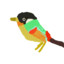 bire_111