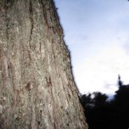 =[UcG]= stabbinu - steam id 76561197961464167