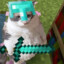 Pit_mos34