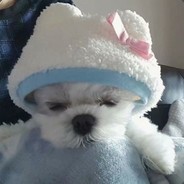 青衣扛枪一打五