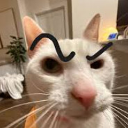 ʇı̣qɹo