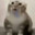 alisonburgers223