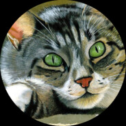 murphybear avatar