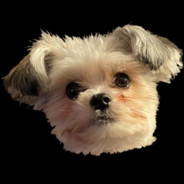 chucktaylorwrestling