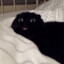 Voidblep