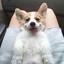 cutie