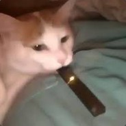toasty