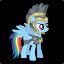 RAINBOWDASH GAURD