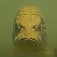Pike