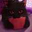 thecatisacat