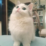 一刀一个盗号怪