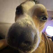 Doggy Dogg