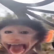 пукнул жидко