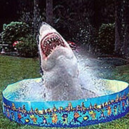 Poolshark