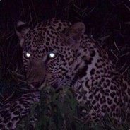 EA7 - steam id 76561197963180667