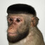 Avatar of player манки