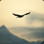 MyFreedom