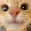 Lux
