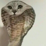 brisu_ avatarı