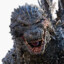 Cpt.Godzilla