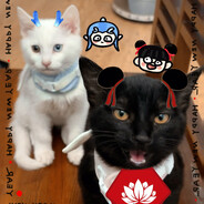 请把20000倒过来