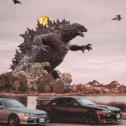 哥斯拉办上海户口