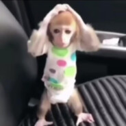 LynKox