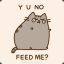 Pusheen Cat