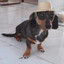 Ragnar do reggae