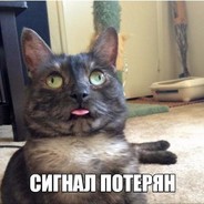 Сынуля Алексы