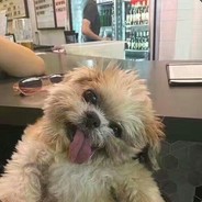 风吹裤衩下雨凉T