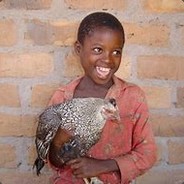 chickenboy2