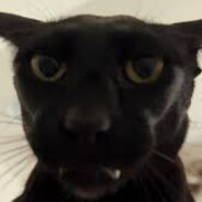 0's Steam avatar