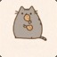 Mr.Pusheen