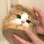 嘎