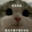 吾爱Loda